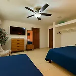 Ave Fenix Cozumel